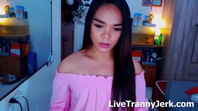 delightfulsluty Live Tranny - ashemaletube.com