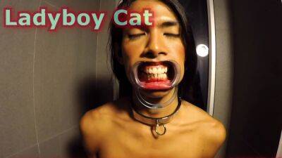 Ladyboy Cat Gives Blowjob After Getting Pissed On - drtvid.com