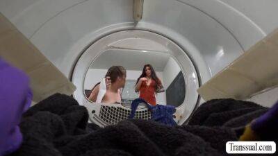 Spencer Bradley And Eva Maxim - Fucked In Washing Machine By Ts - hotmovs.com