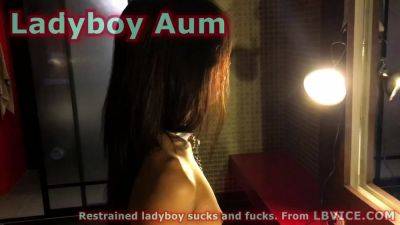 Restrained Ladyboy Aum Sucks Dick And Ass Fucked - drtvid.com